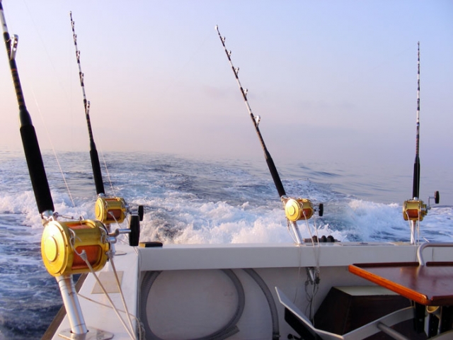  Practica la pesca deportiva 